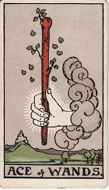 Ace of Wands tarot card
