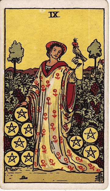 Nine of Pentacles tarot card